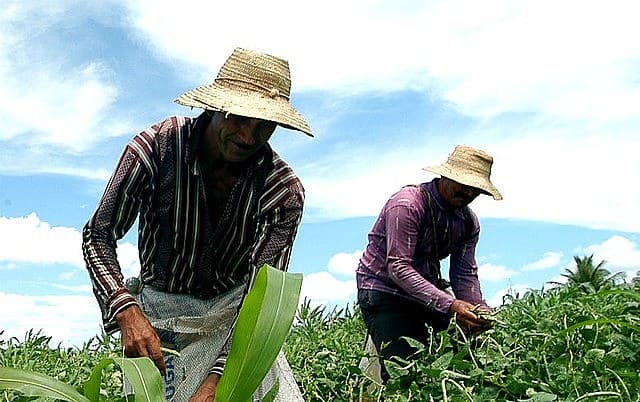 Propostas visam garantia de direitos dos trabalhadores do campo - Foto: MDA