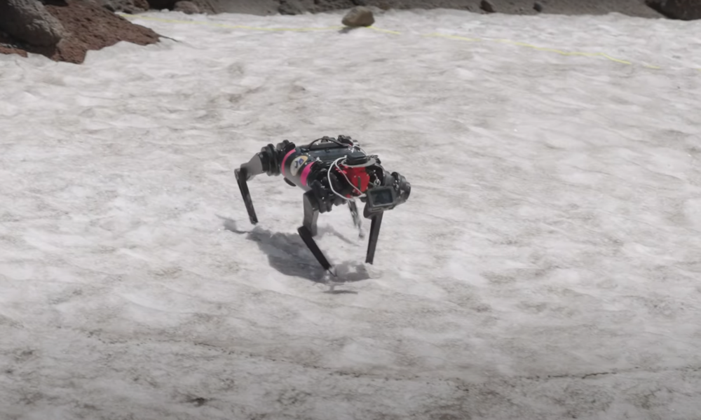 Cientistas ensinam cão-robô a andar na Lua; veja