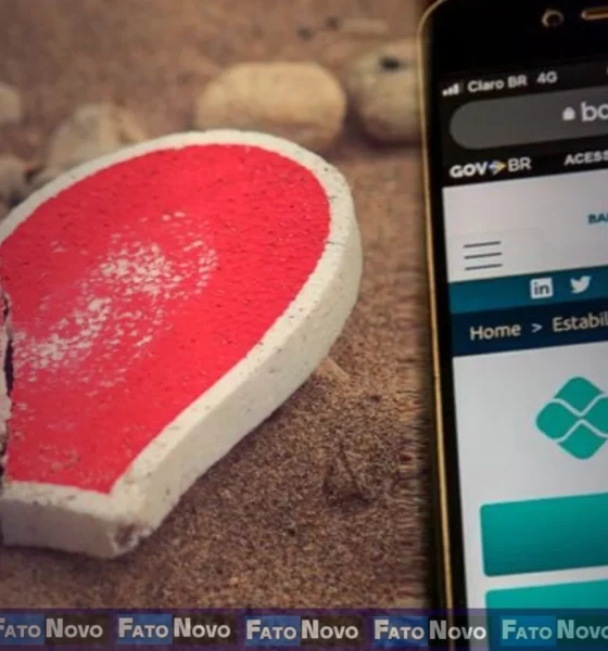 celular com mensagens de amor falso e um cartão de crédito sendo clonado