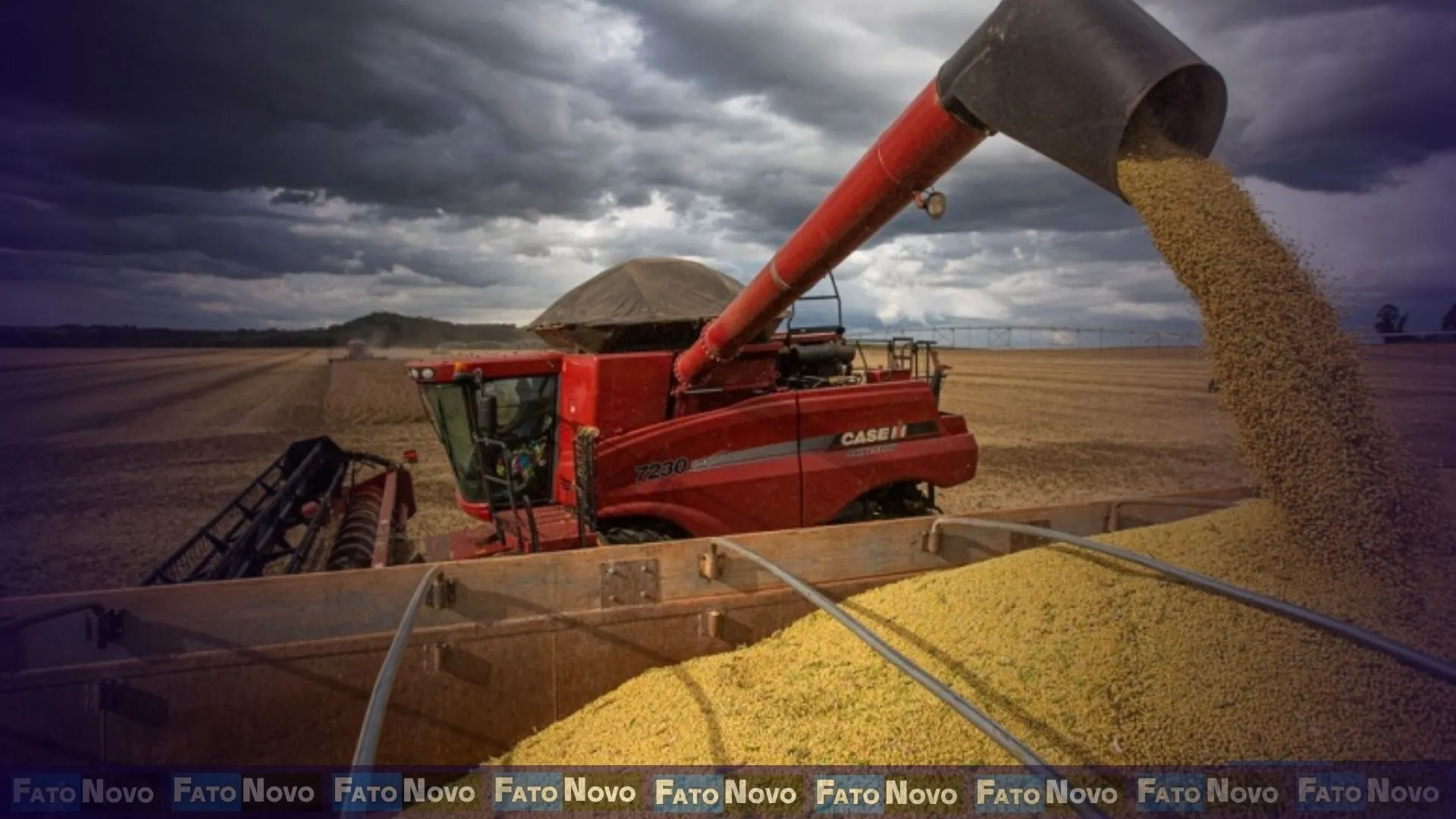 Safra de grãos do Brasil bate recorde e atinge 350,2 milhões de toneladas