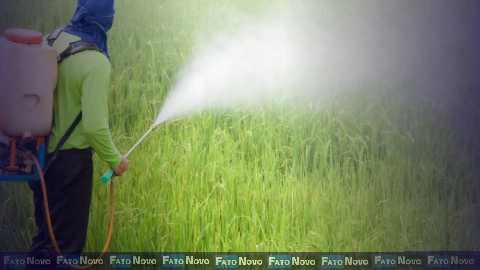 Agrotóxicos: Estudo revela que divergência regulatória global não se traduz em diferença de risco real