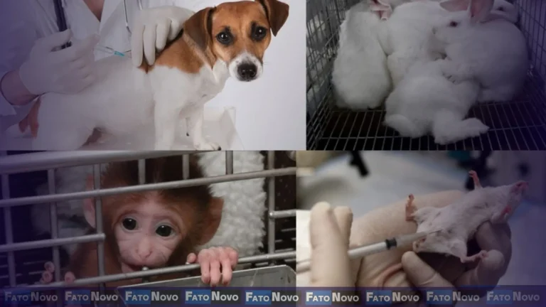 Uso de animais no ensino: O desafio de alinhar ciência, ética e inovação